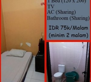 Penginapan murah harga backpacker