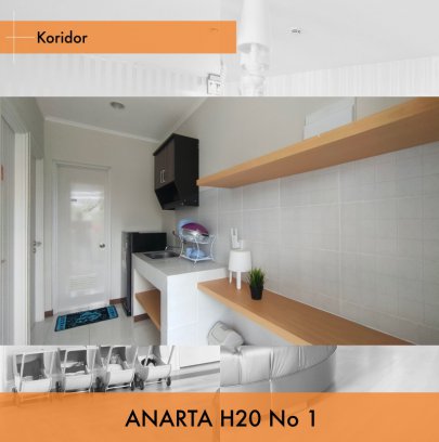 Koze Kost Anarta H20/1