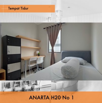 Koze Kost Anarta H20/1