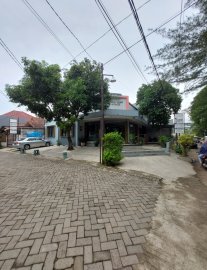 Kost Anggrek