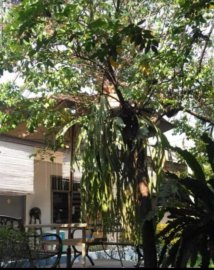 Kost Non AC 2 menit dari jalan Fatmawati