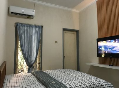 Kost Cindelaras BSD