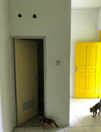 KOST MURAH DIBANDUNG DEKAT DENGAN TELKOM UNIVERSITY