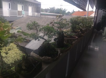 View dari pintu kamar 